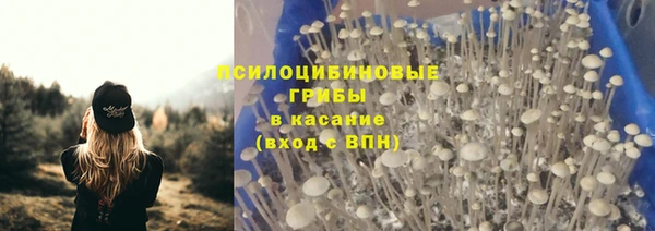 ECSTASY Аркадак