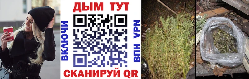Бошки Шишки ГИДРОПОН Лагань